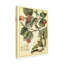 « fantaisiste papillons i », reproduction d’impression sur toile tendue-33423596