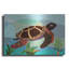 Luxe Spectrum Art «Spectrum Sea Turtle» par Lanre Adef «Spectrum Sea Turtle» par Lanre Adefioyue-101622184