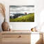 Alvord Lone Mountain Cow