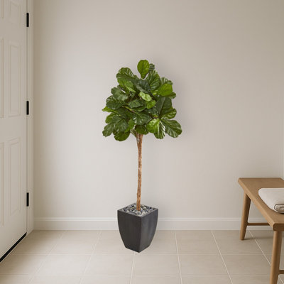 Fiddle Leaf Fig Artificial Tree in Black Planter