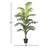 Palm Tree in Pot-970598321