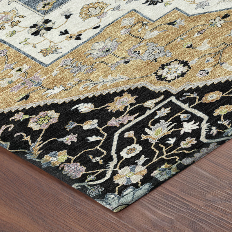 Machine Washable Indoor/Outdoor Chantille ACN2533 Traditional Rug, Rectangle 3' x 5', Black