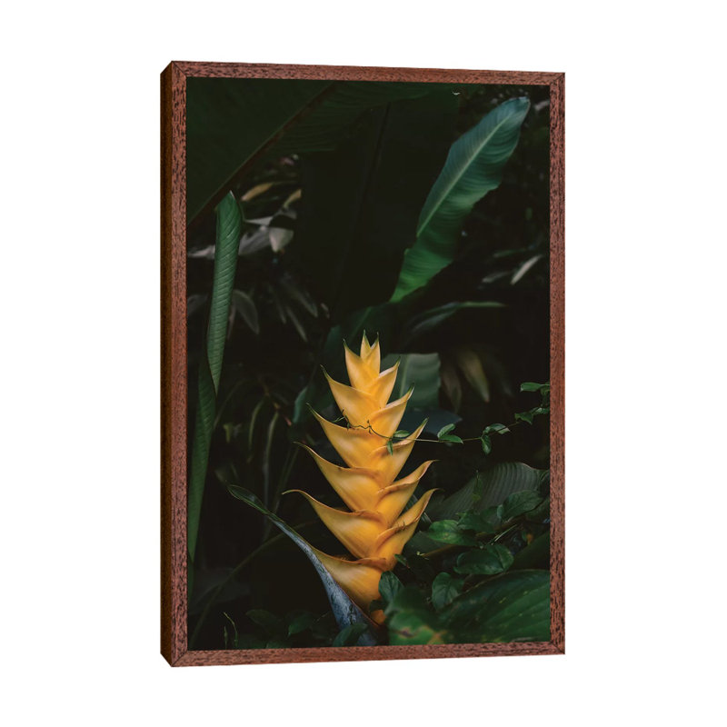 Tropical Hawaii VIII 1 Piece Wall Art on Canvas, 66.04cm H x 45.72cm W x 3.81cm D, Classic Brown Wood Framed