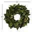 Magnolia Leaf Wreath-1809458386