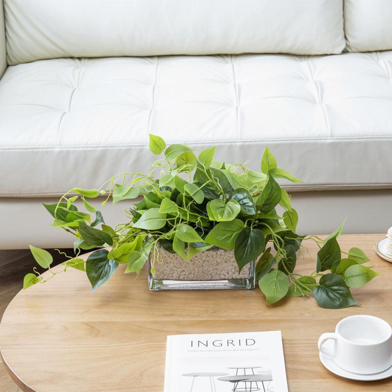 Artificial Plant