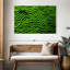 Corail vert Brampt-107847197