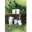 Seltmann Weiden Coffee Mug-106868523