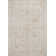 Oriental Indoor Rug