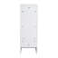 Armoire de rangement sur pied 36 po, portes à fermeture douce, blanc brillant, contreplaqué, emballage KD, combinaison 12 po x 3 po