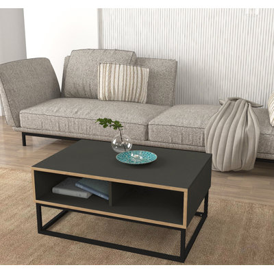 Iyauna Frame Coffee Table with Storage