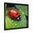 Black Single Picture Framed