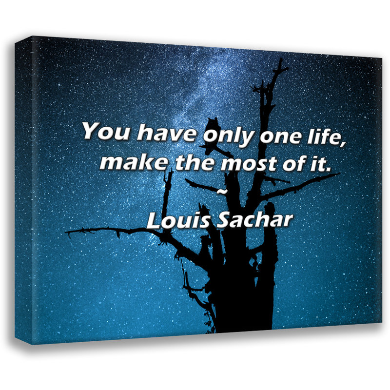 Louis Sachar Citation: Vous n'avez qu'une vie, profitez-en au maximum., H 20 po x l 24 po