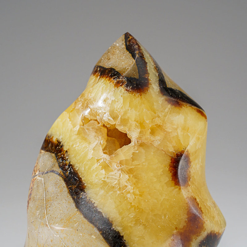 Septarian Crystal