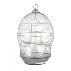 Bird Cages You'll Love - Wayfair Canada