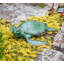 Statue tortue de mer Krueger