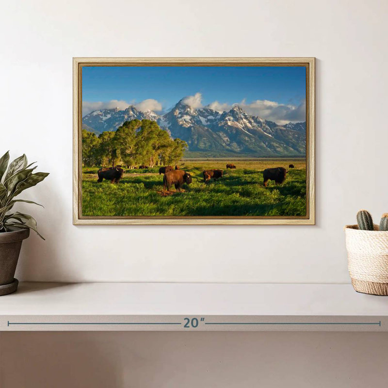 Bison de Grand Teton, Cadre flottant en bois naturel, 13 po x 9 po