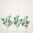 23in. Lighted Artificial Olive Branch Stems with 30 Warm White LED Lights - Set of 3