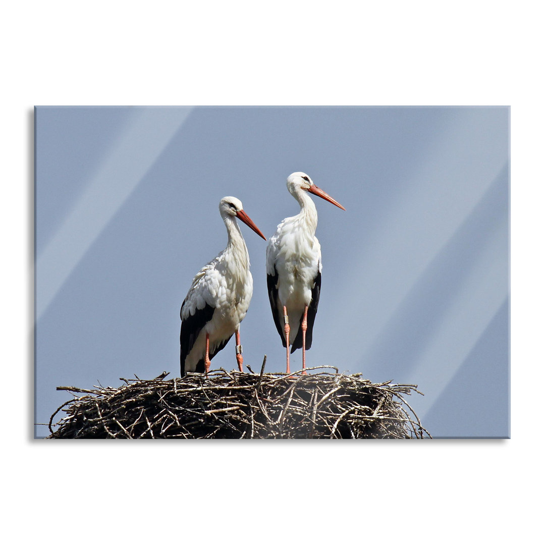 Glasbild Zwei Stolze Störche im Nest