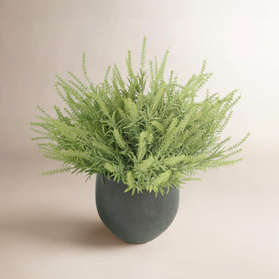 Astilbe Floral Arrangements in Fiberstone Pot