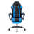 Black/Blue selected