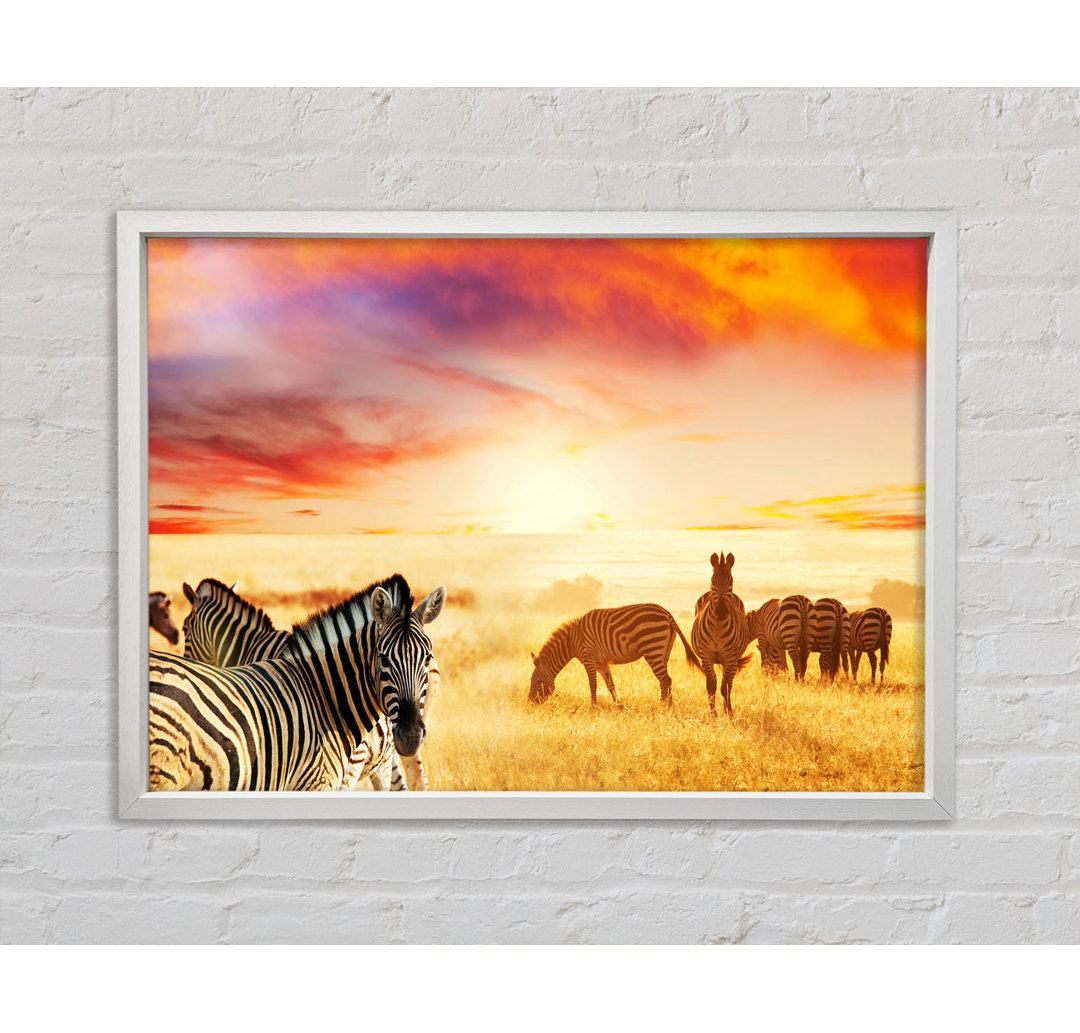 Zebra Sunset Safari - Einzelne Bilderrahmen Kunstdrucke auf Leinwand