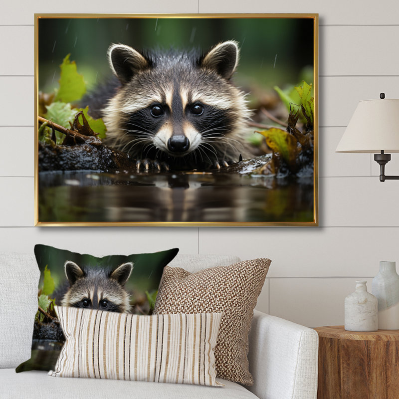 Curious Raccoon I - Animals Canvas Prints, H 12 po x l 20 po x P 1 po, Cadre flottant doré