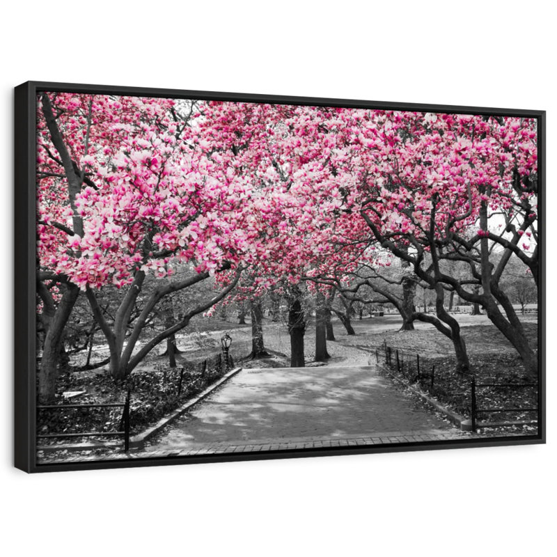 Floral et botanique «Central Park NY Cherry Blossoms Canvas Print», H 29 po x l 43 po