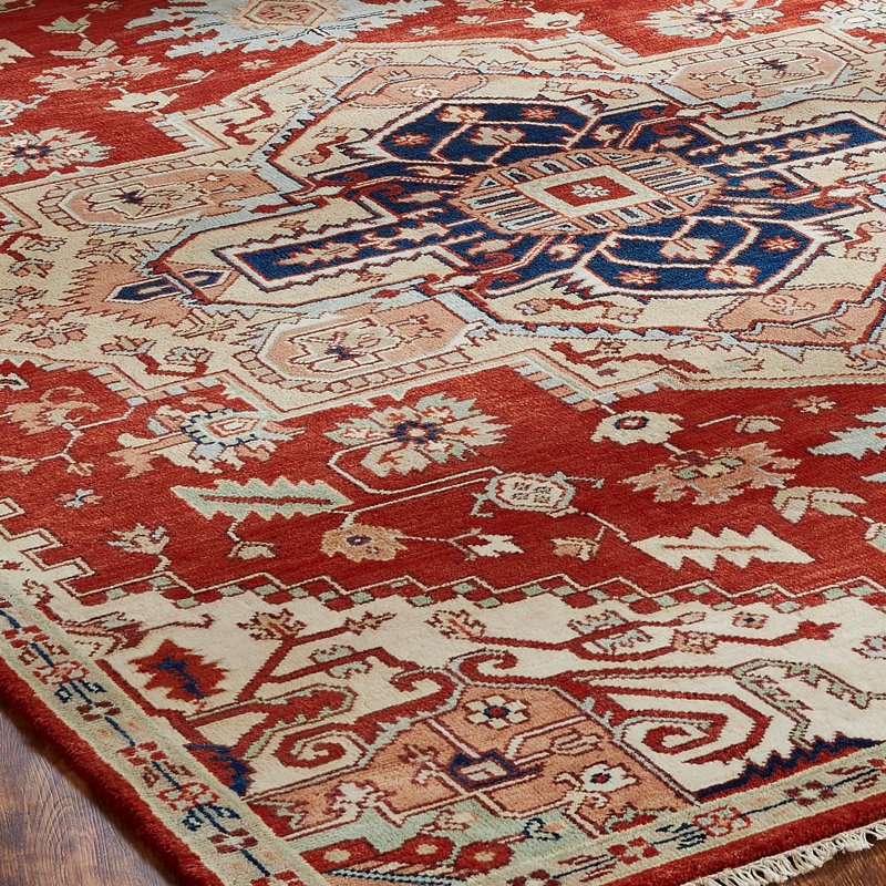 Vallelunga Wool Oriental Area Rug in Rust, Rectangle 10' x 14'