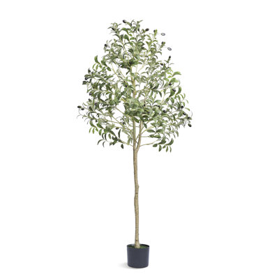 Olive artificielle, plante artificielle haute de 5 pi, matériau en PE sécuritaire et plante anti-basculement à faible entretien, arbre vert en pot réaliste pour la décoration d'entrepôt de bureau à domicile intérieur extérieur