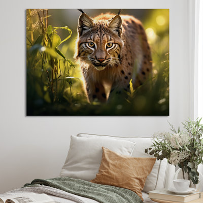 Portrait de lynx brun dans la nature