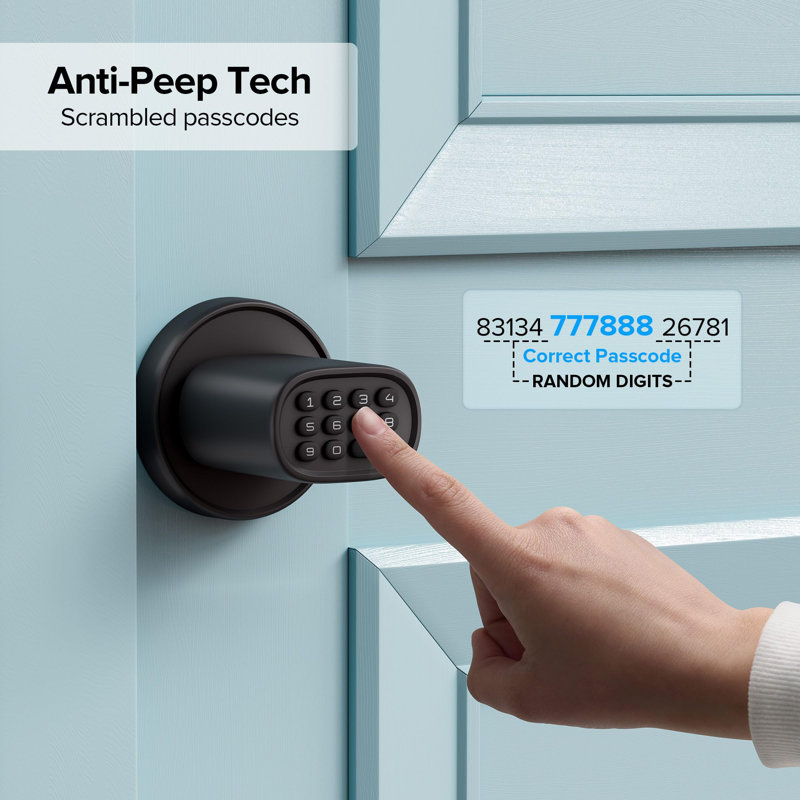 Black Keyless Entry Door Knob with Keypad and Zinc Alloy