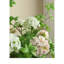 Arrangement d'hortensias-760609659
