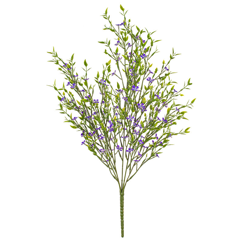Buisson