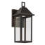 Applique murale d'extérieur 14 "avec verre transparent 14" DarkSky-115680842-115680840
