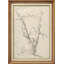 Esquisse d'arbre classique classique avec illustrations monochromes beiges élégantes de Farnhouse-102453102