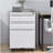 3 Drawer Mobile File Cabinet with Lock, Metal Filing Cabinets