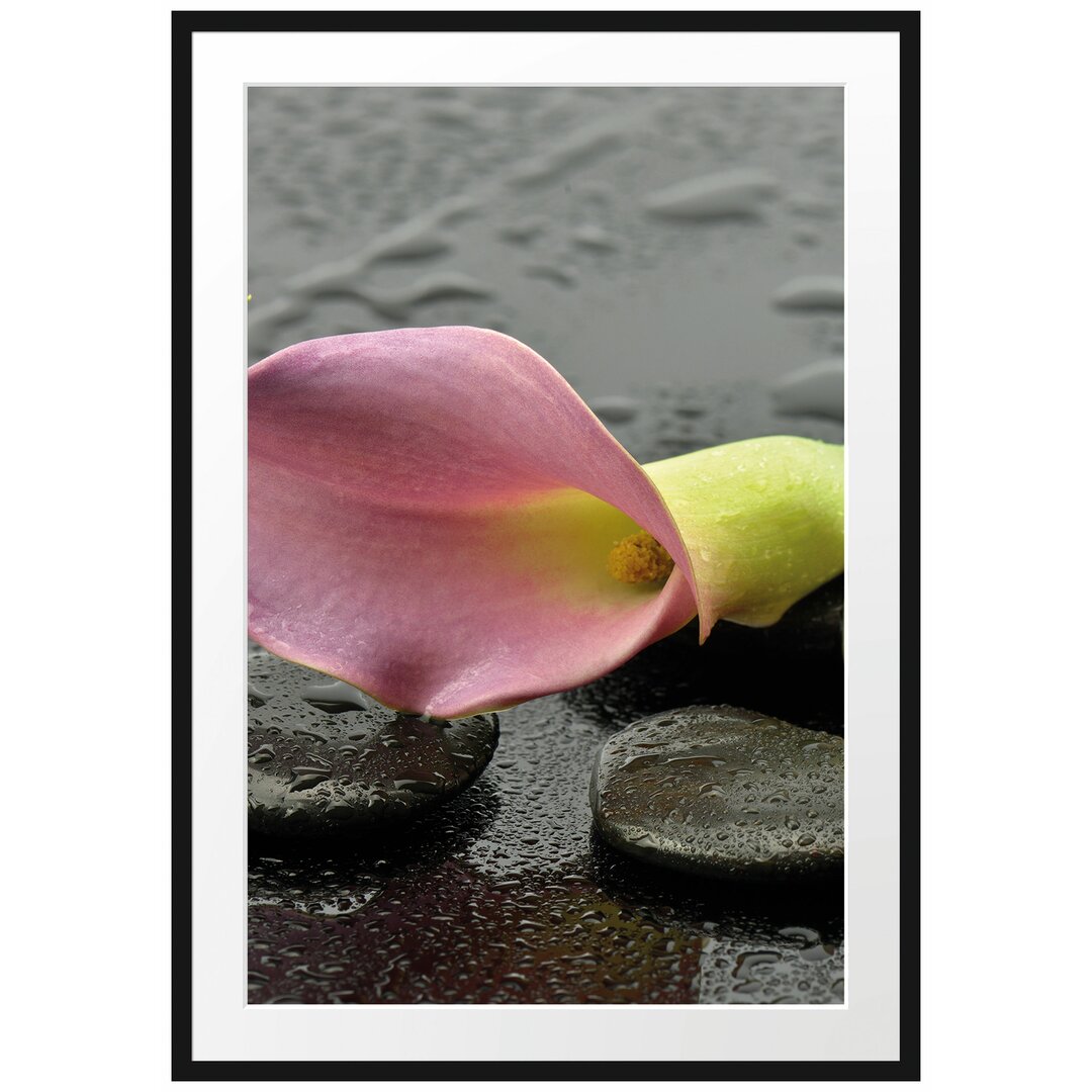 Gerahmtes Poster Rosa Callas im Regen