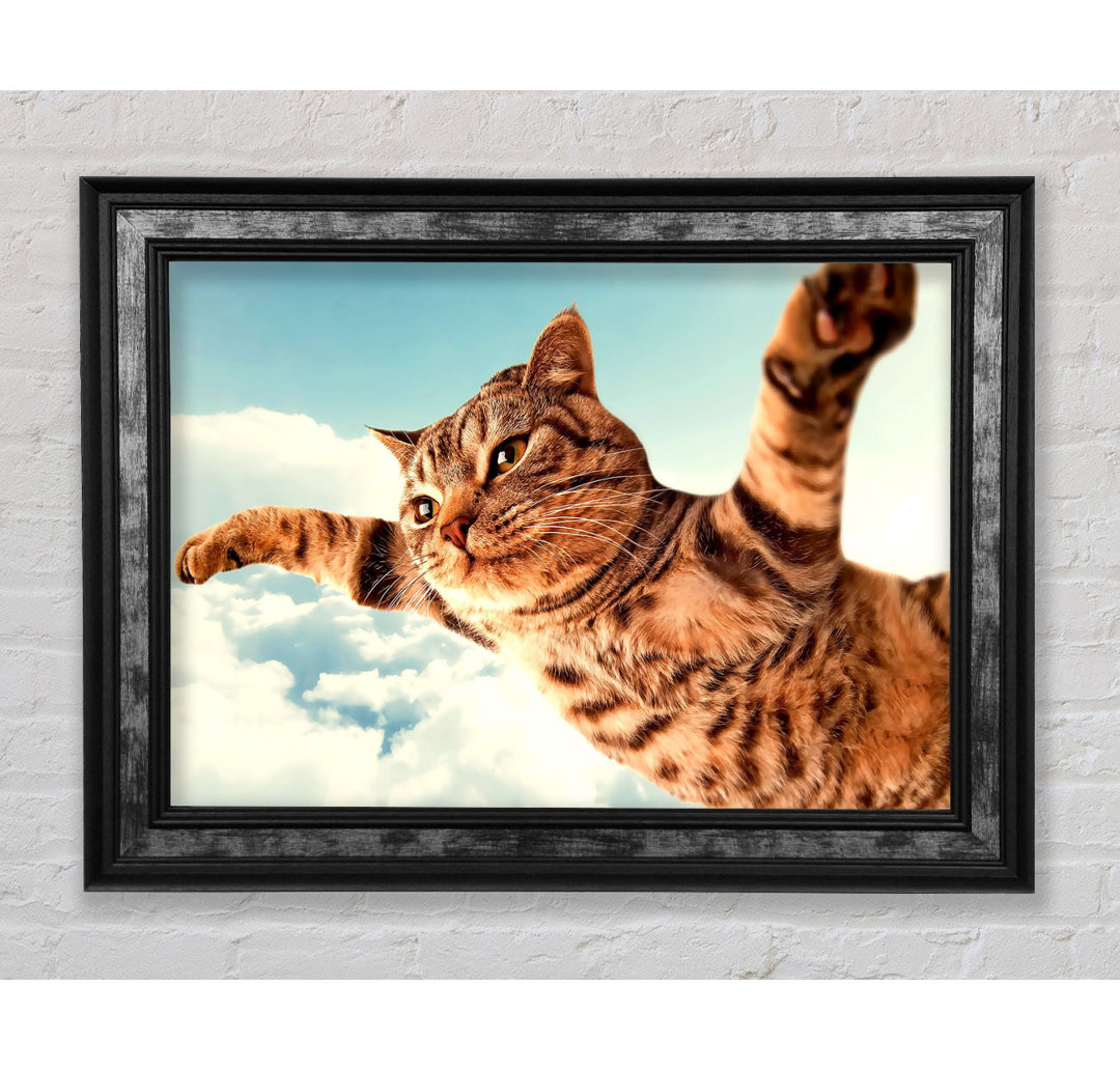 I Believe I Can Fly Katze - Einzelner Bilderrahmen Kunstdrucke