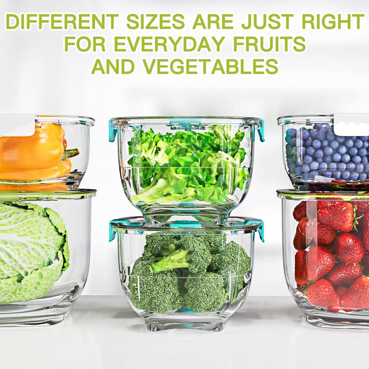 Prep & Savour Fresh Produce Vegetable Fruit Storage Containers 3Piece Set, BPA-Free Fridge Storage Container, Partitioned Salad Container, Fridge Orga