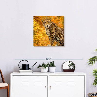 Crowle Autumn Jaguar