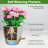 Self Watering Plant Pots Indoor-1507783042
