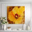 Amber Passion Painting-26947562-26947566
