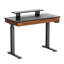 Metal Base Standing Desk with Power Outlet-1261263012-1261263706