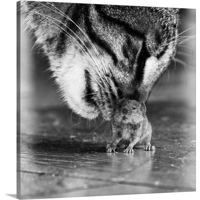 « mortelle games » par frank hinsberger, reproduction de photo sur toile