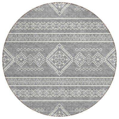 Celeski Washable Southwestern Indoor Rug