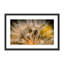 Float Away Print by Geoffrey Baris-48617804-48617811
