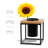 5'' H Wall Wall Sconce-1950924781
