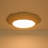 Dimmable French Style Engraved Flower round LED Ceiling Light