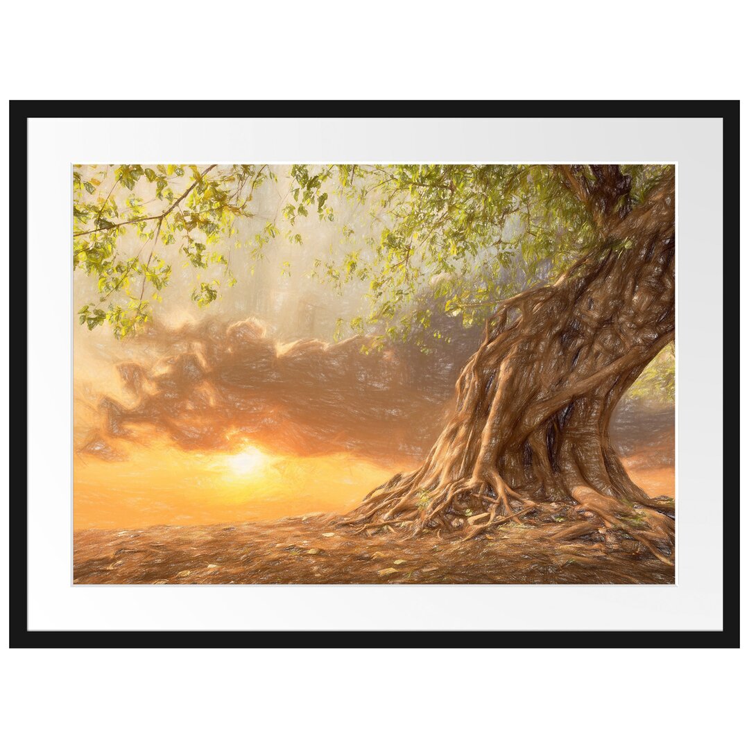 Uralter Baum Gerahmter Fotokunstdruck Poster