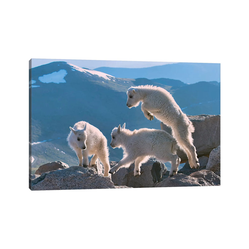 Kids by OLena Art - Wrapped Canvas Gallery-Wrapped Canvas Giclée